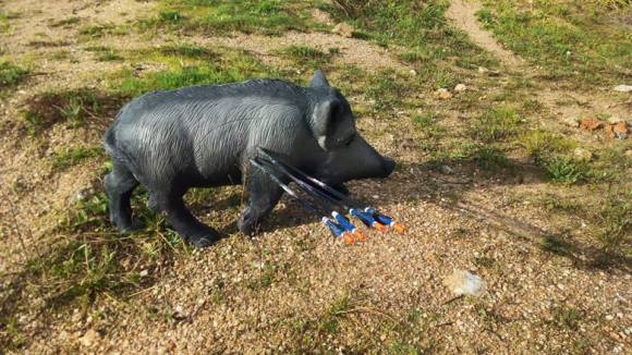 10978717_804312956270516_4044385307511539726_n