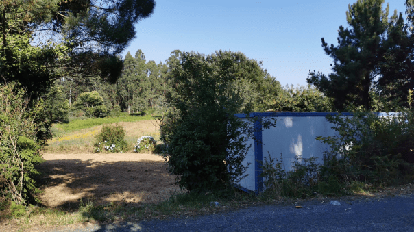 imagen_2022-07-22_135155544